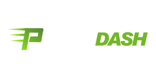 PlayDash Casino